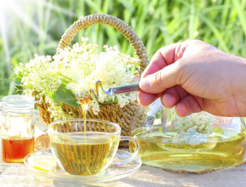 HERBAL TEA 20 - ELDER FLOWERS