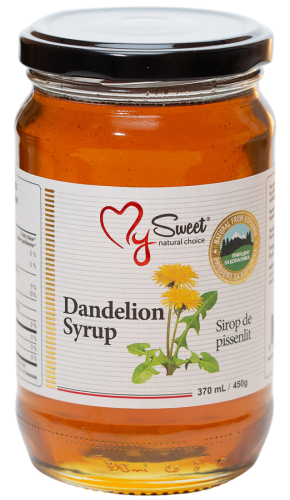 Danelion Honey Syrup 450g