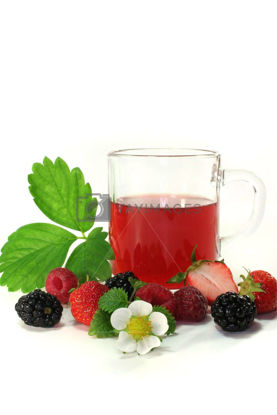Picture of HERBAL TEA 20 - FOREST FRUITS